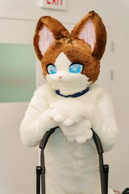 보리
