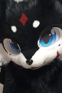 노아