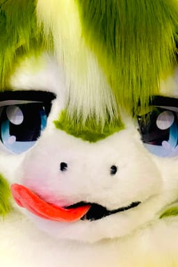 포레