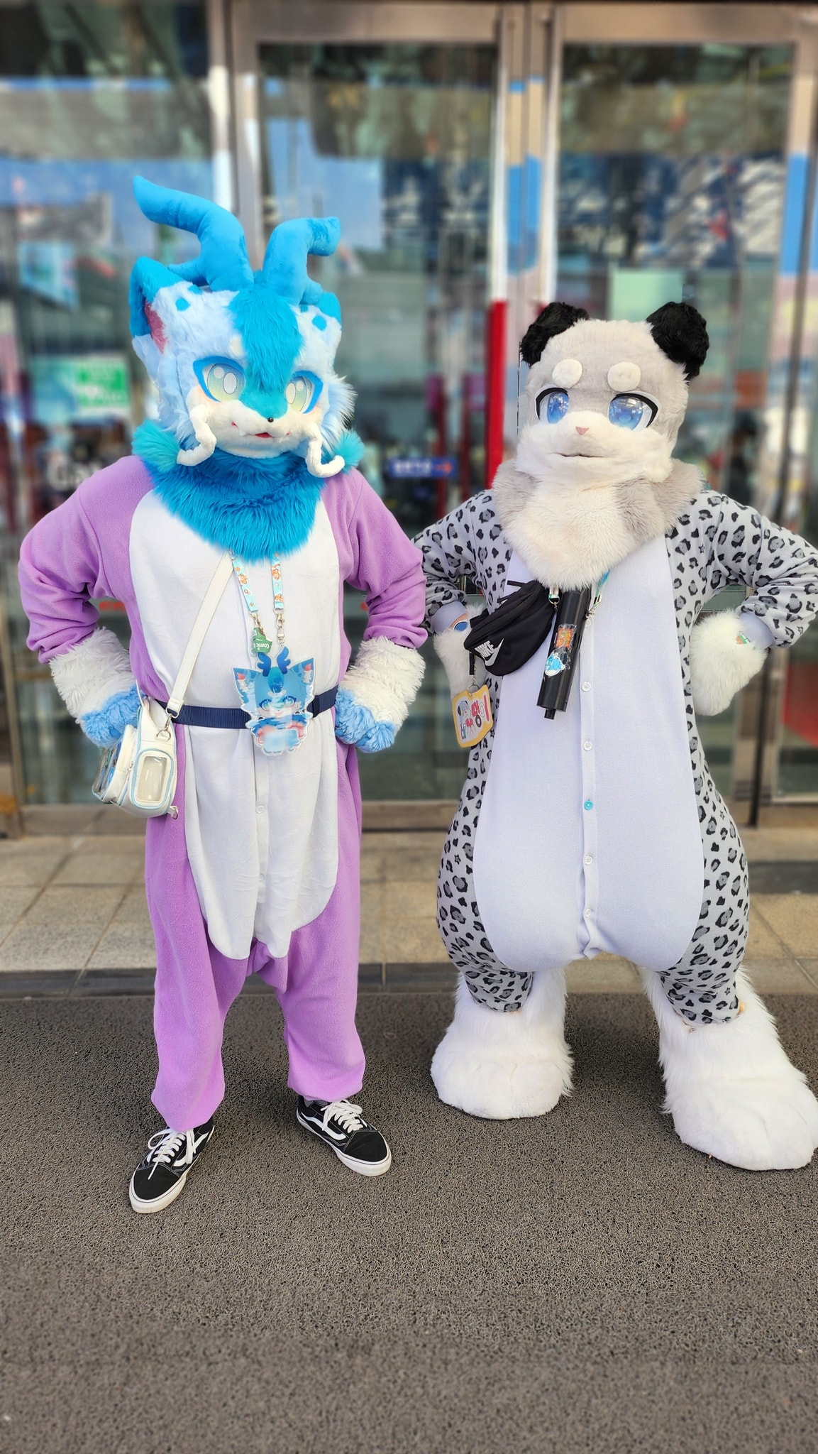 동물잠옷단에 합류하라😼