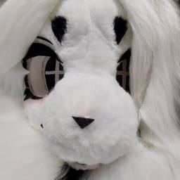 오사카🔜10코(토)❄️