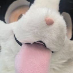솔퍼