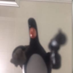 🥒
