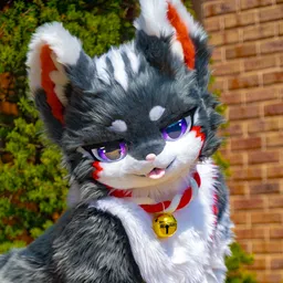 치비 / Chibi ≽^•⩊•^≼