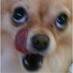 김루미🔞