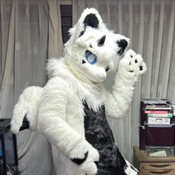 Shadowy Fursuit Studio (퍼리박스)