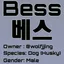 베스